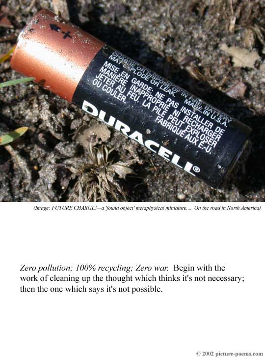 Picture/Poem Poster: Zero Waste