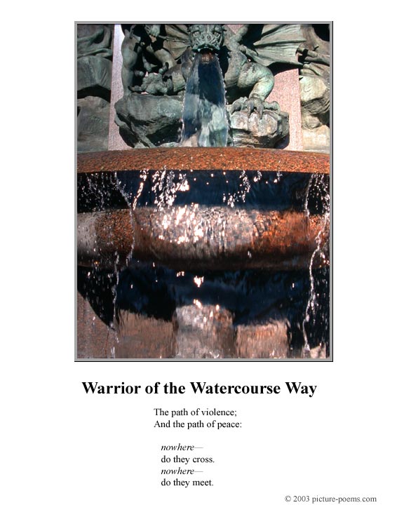 Picture/Poem Poster:  Water Warrior