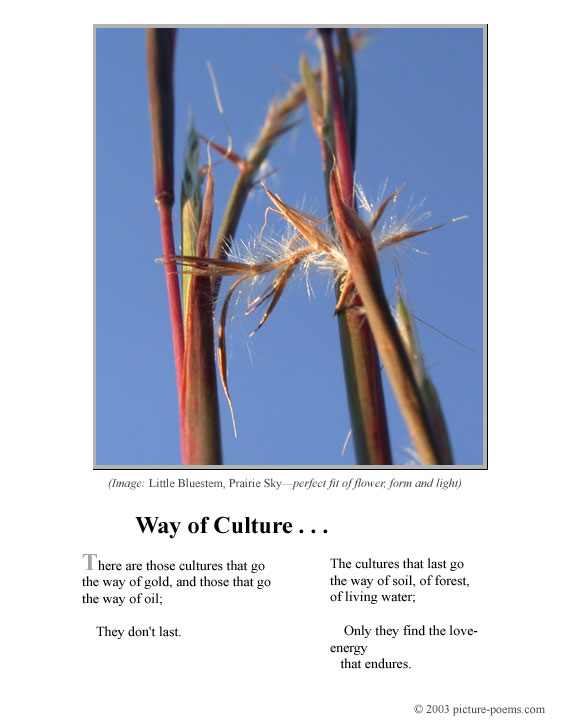 Picture/Poem Poster:  Way of Culture
