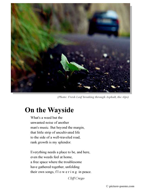 Picture/Poem Poster: On the Wayside