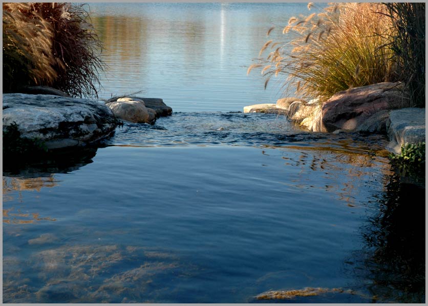 autumn pool