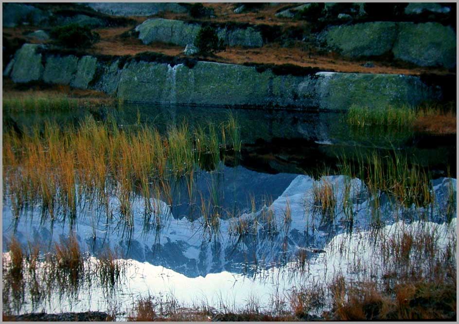 autumn tarn, mirror