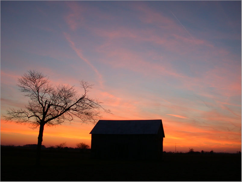 barn with tree