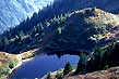 tarn at treeline