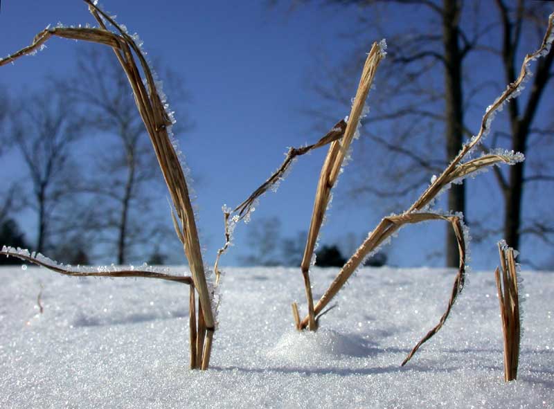 snow crystals