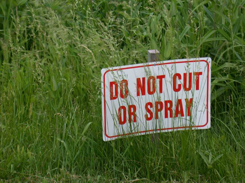 do not cut or spray