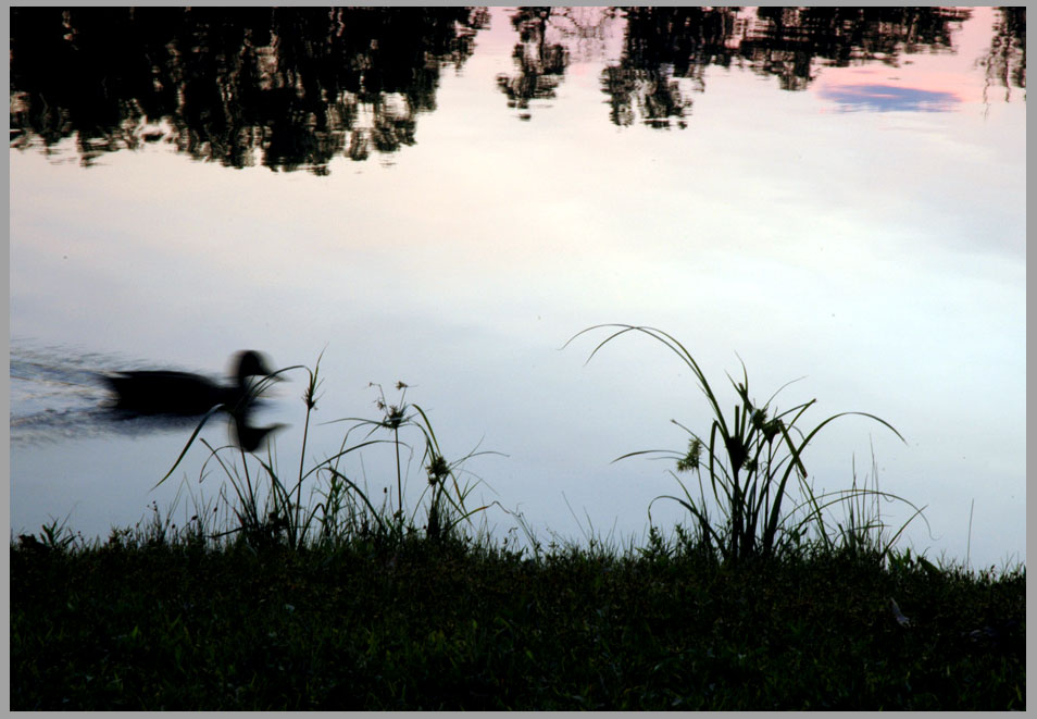 evening lake