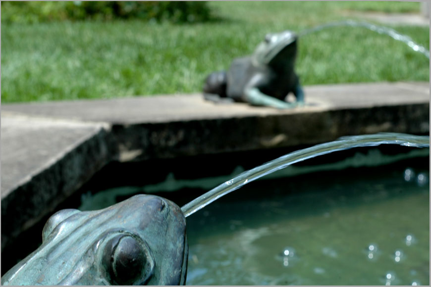 frog fountain duo