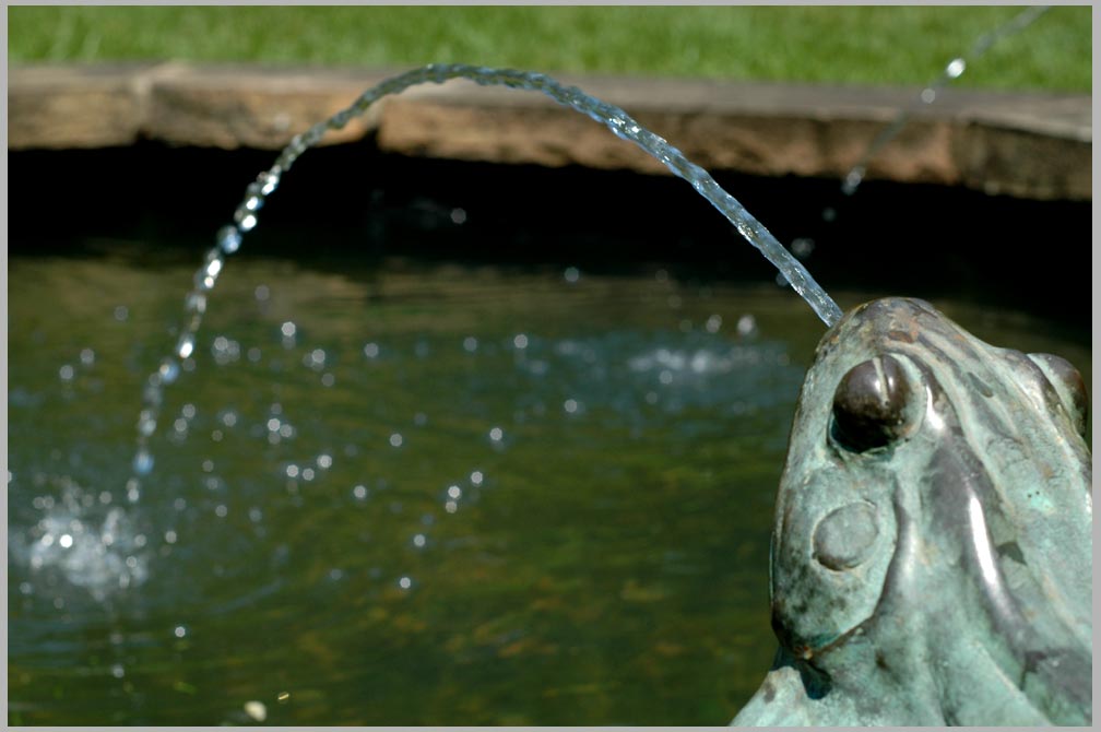 frog fountain quartet