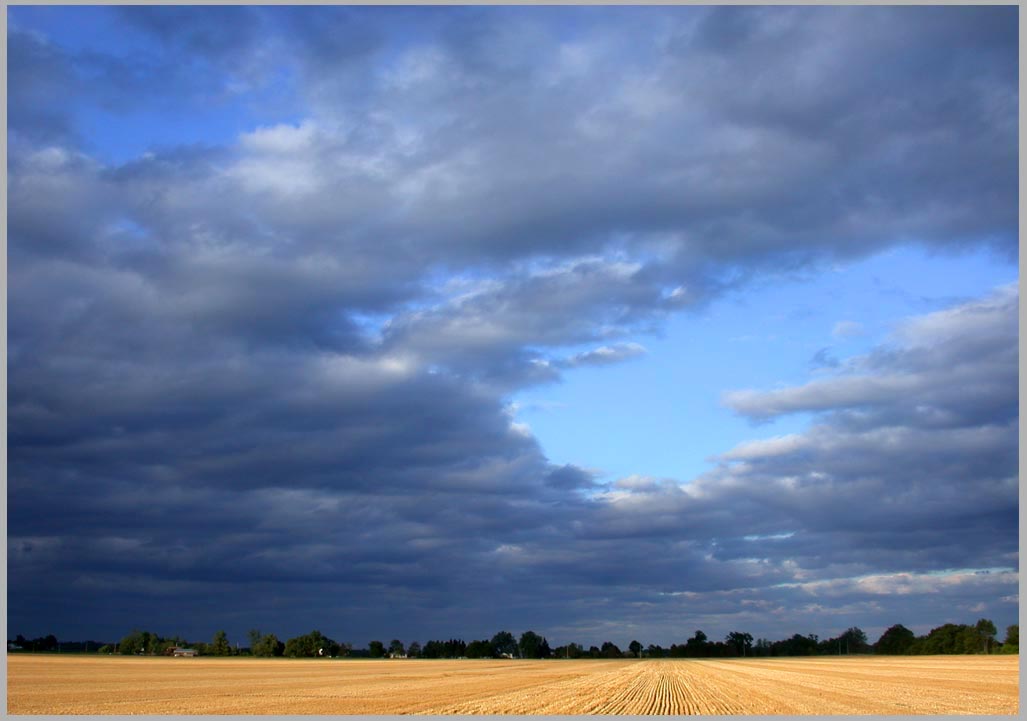 just aftweer wheat harvest