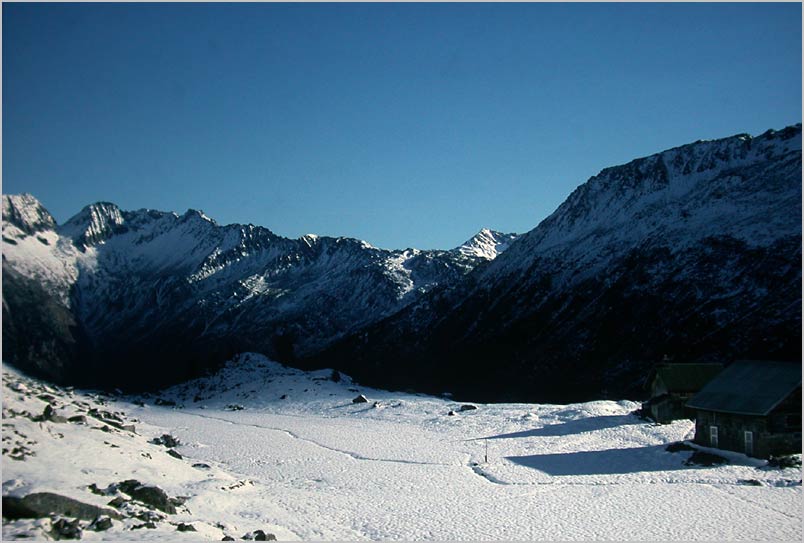 new snow, november light