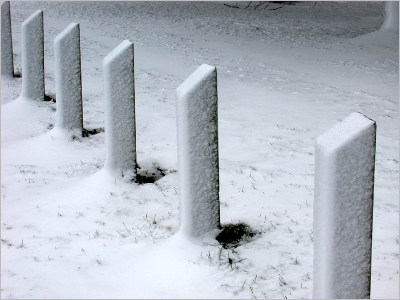 snow posts