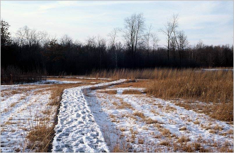 snowy walkway