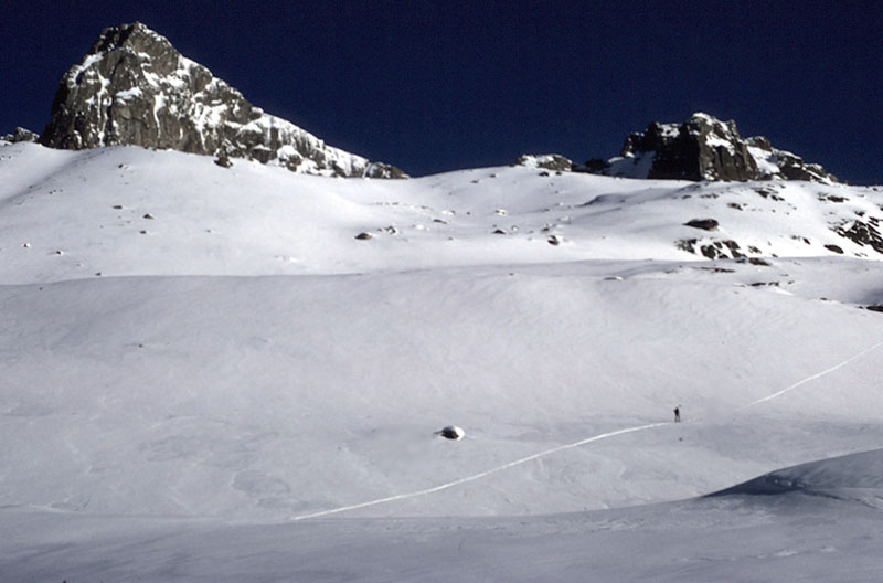 spring ascent, the alps