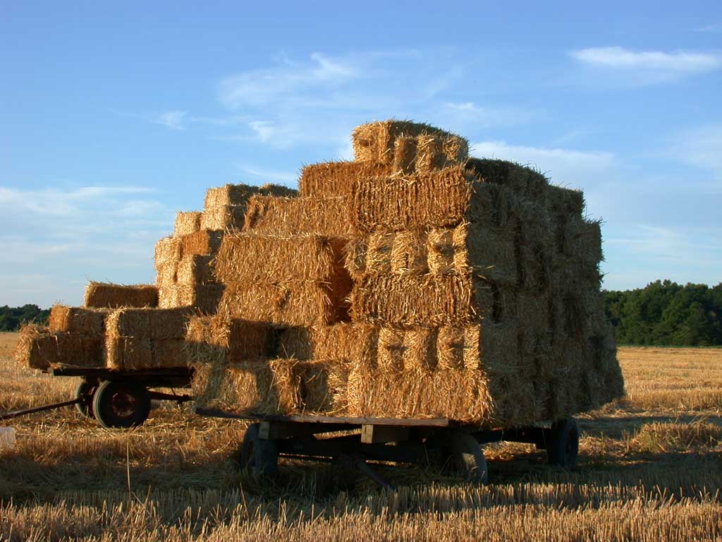 strawbails on wagon