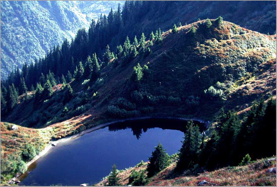 tarn at treeline