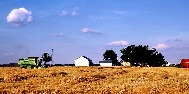 Picture/Poem Image: Bringing in the Wheat