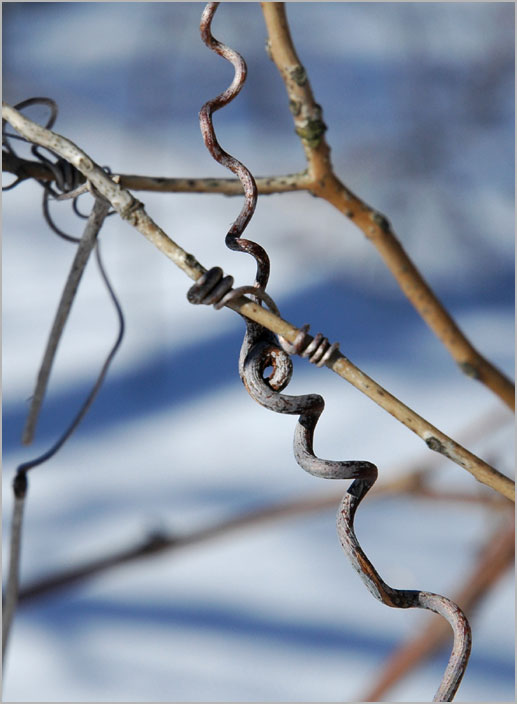 winter spirals