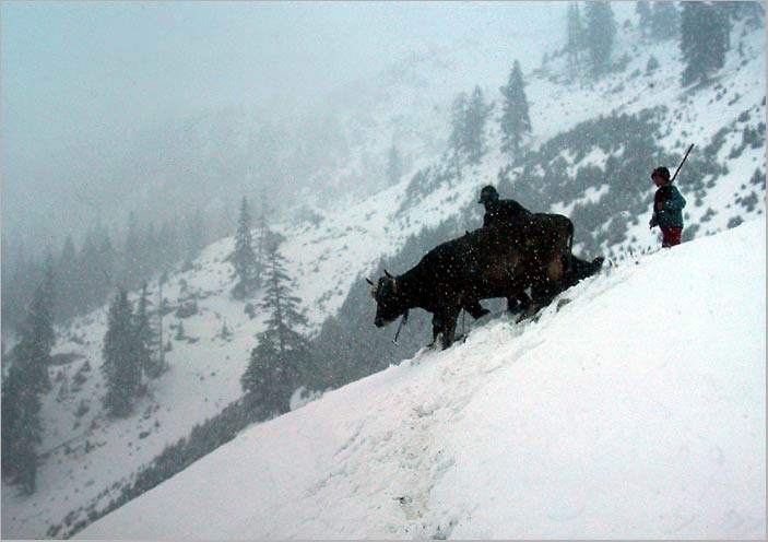 winter descent, the alps