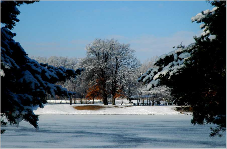 winter, twin oaks