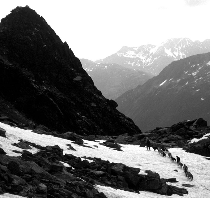 Shepherd Rock, the Alps