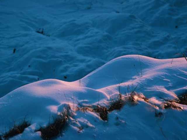 Last Light on Ridge, Winter Solstice 