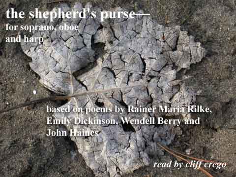 the shepherds'purse: poplar leaf